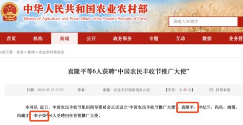 被官宣为农民丰收节推广大使，小小网红凭何成为文化输出的最大赢家？