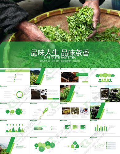 ppt模板茶艺茶文化禅茶叶茶韵道具中国风茶产品宣传介绍推广培训